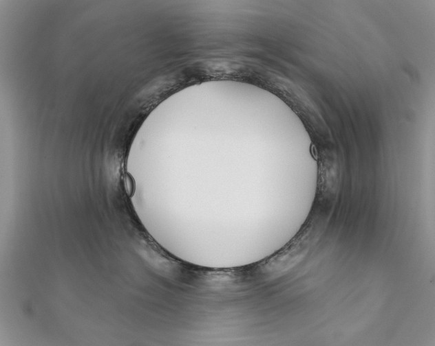 X0000112180574200908281404