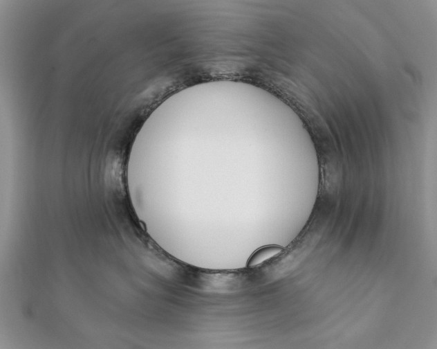 X0000112180575200908281404