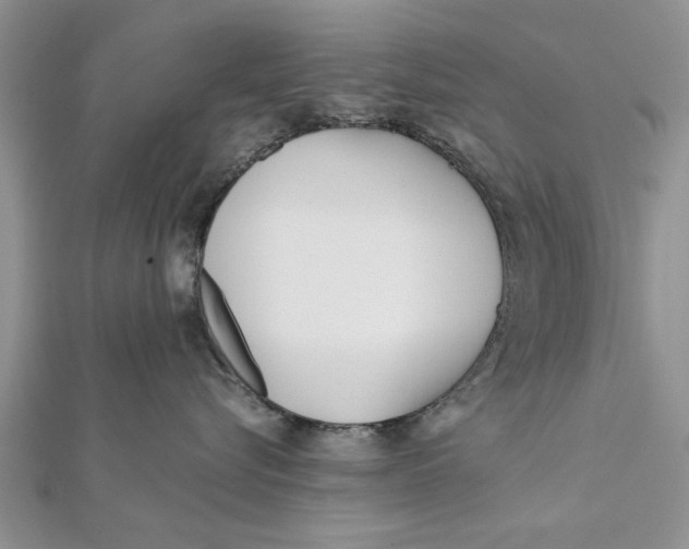 X0000112180576200908281404