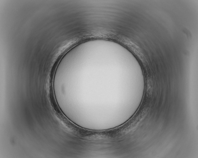 X0000112180578200908281404