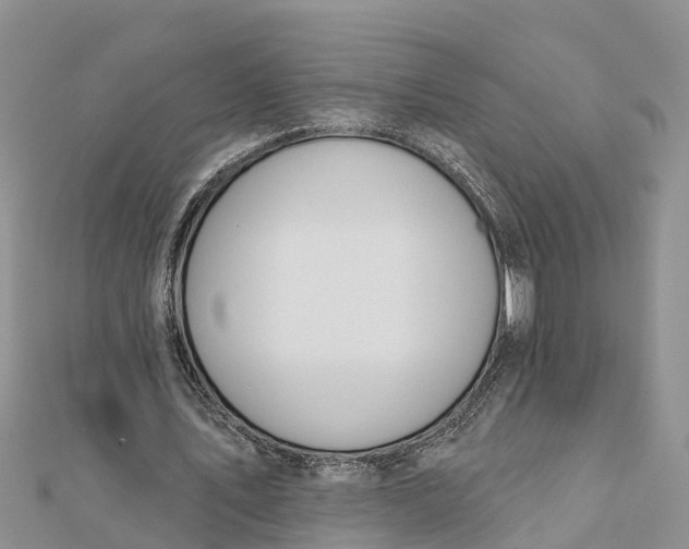 X0000112180579200908281404