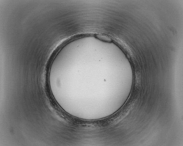 X0000112180580200908281404