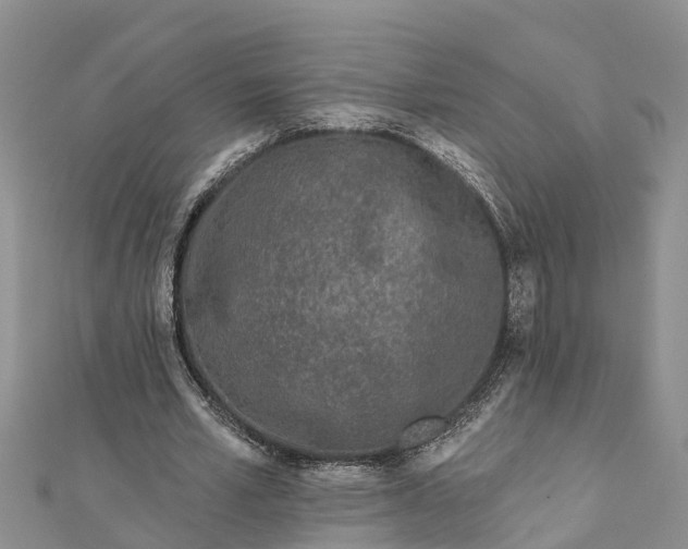 X0000112180581200908281404