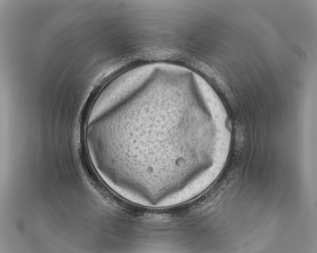 X0000112180582200908281404