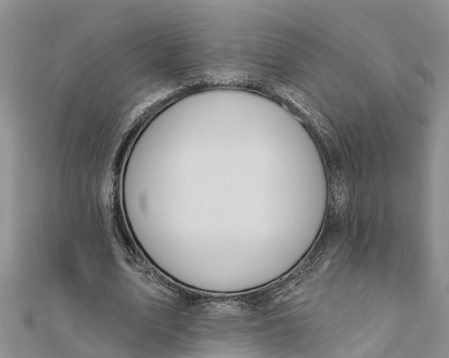 X0000112180583200908281403