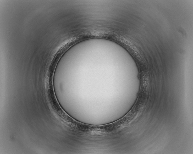 X0000112180587200908281403