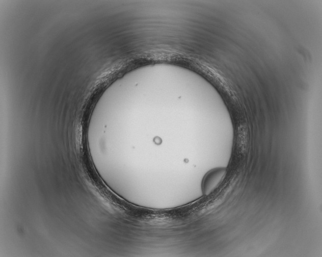 X0000112180589200908281403