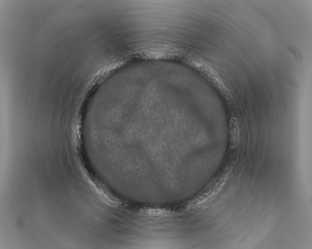 X0000112180590200908281403