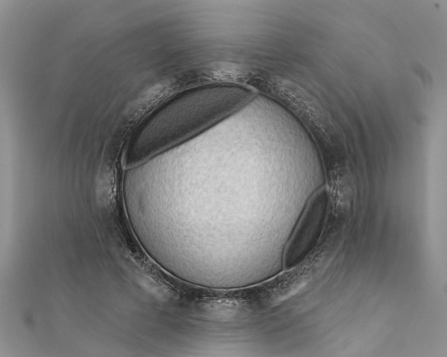 X0000112180593200908281403