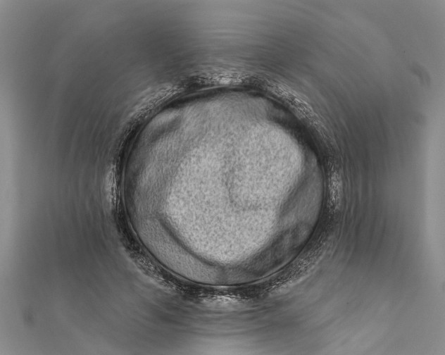 X0000112180594200908281403