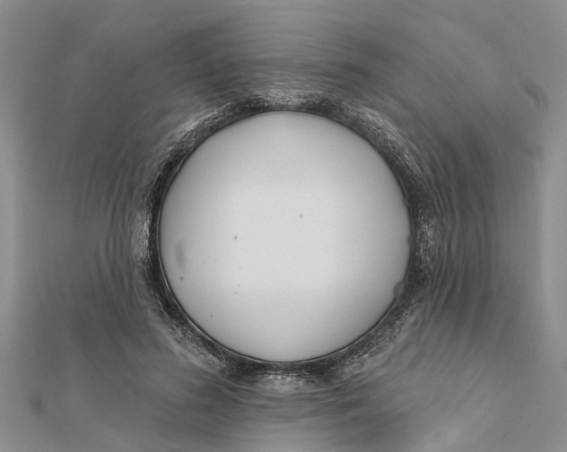 X0000112180596200908281403