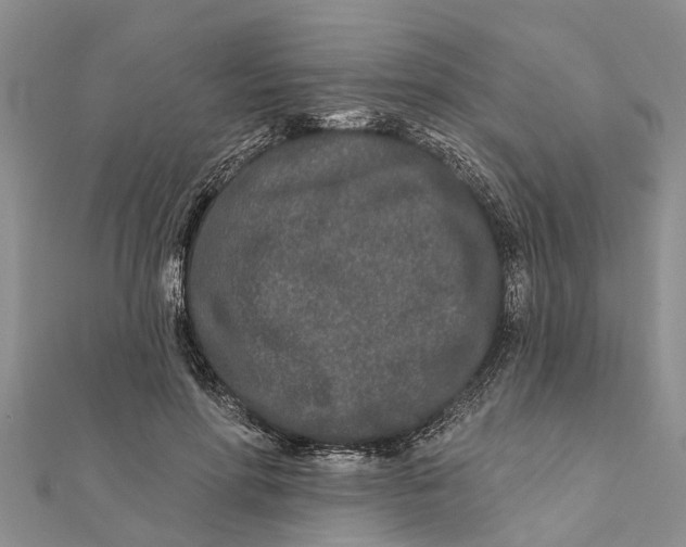 X0000112180598200908281403