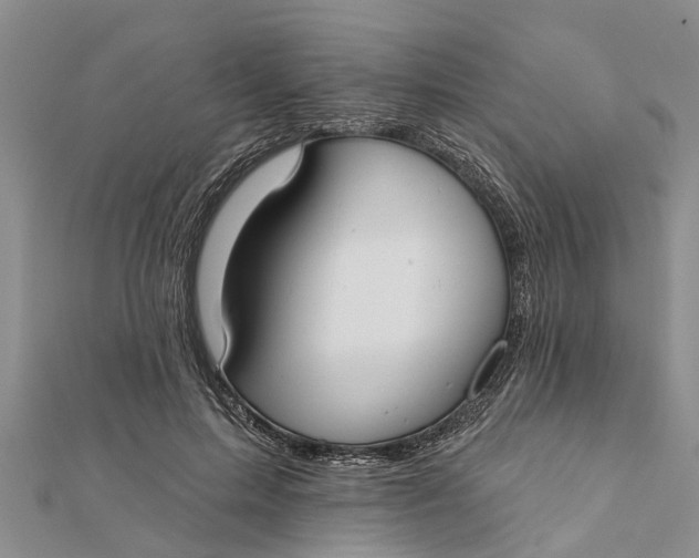 X0000112180599200908281403