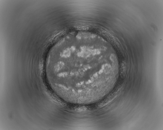 X0000112180600200908281403