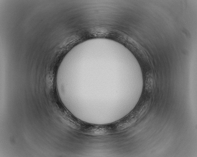 X0000112180604200908281403