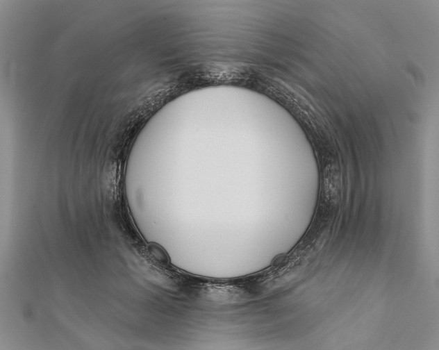 X0000112180605200908281403