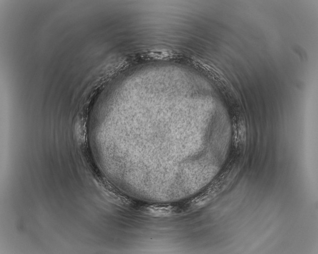 X0000112180606200908281403