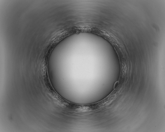 X0000112180609200908281403