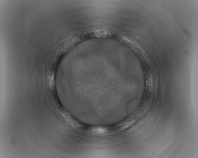 X0000112180610200908281403