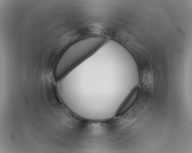 X0000112180611200908281403