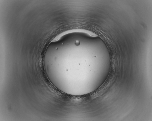 X0000112180613200908281403