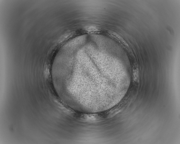 X0000112180618200908281403