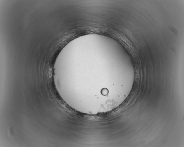 X0000112180621200908281403