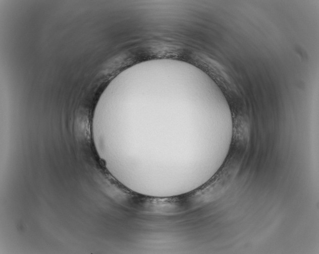 X0000112180622200908281403