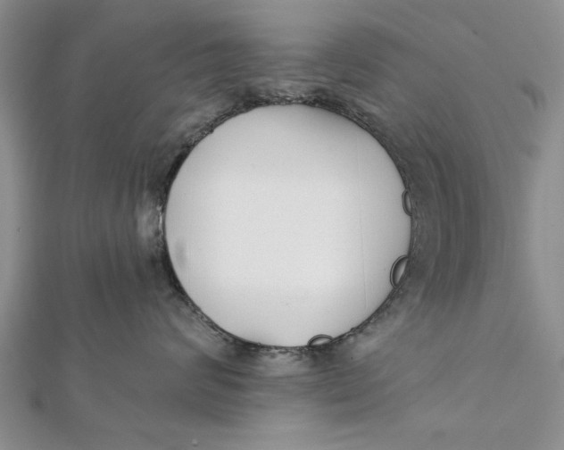 X0000112180624200908281403