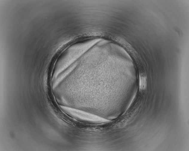 X0000112180627200908281402