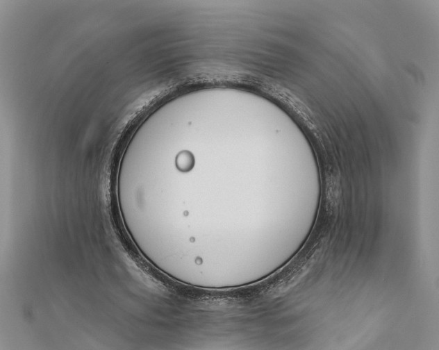 X0000112180629200908281402