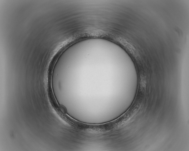 X0000112180630200908281402