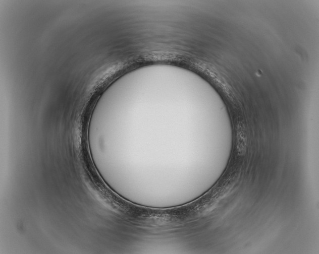 X0000112180631200908281402