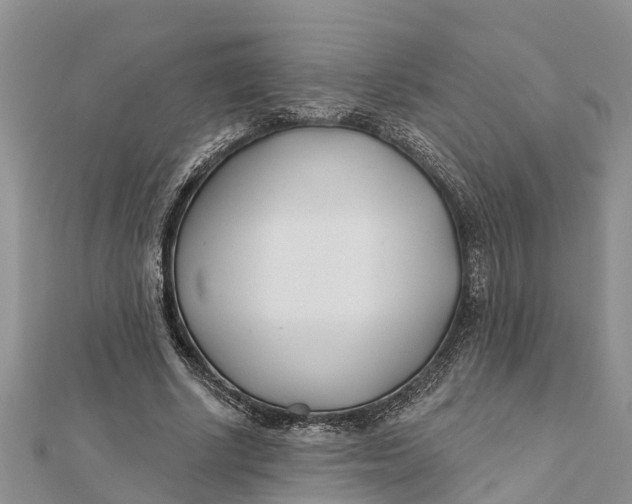 X0000112180634200908281402