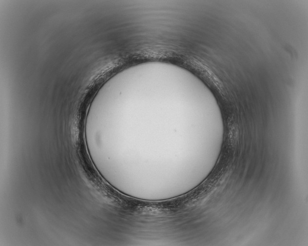 X0000112180635200908281402