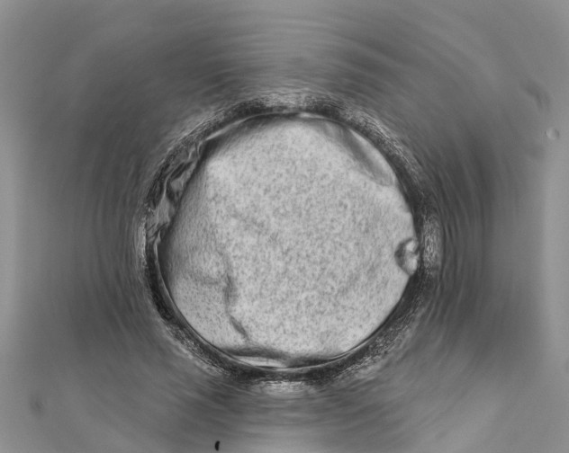 X0000112180637200908281402