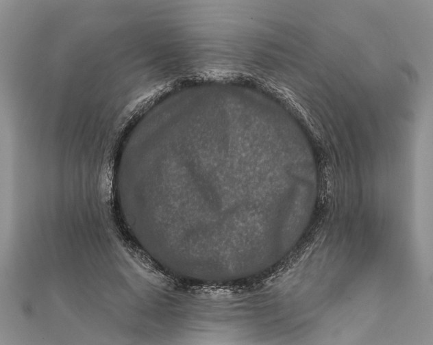 X0000112180640200908281402