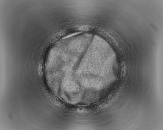 X0000112180641200908281402