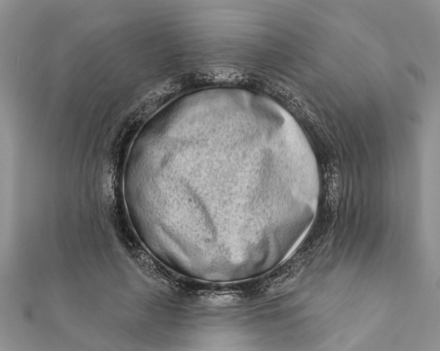 X0000112180643200908281402