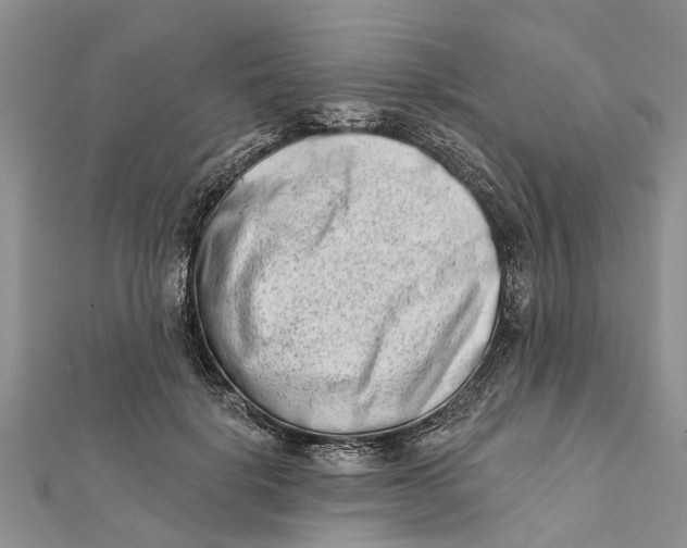 X0000112180652200908281403