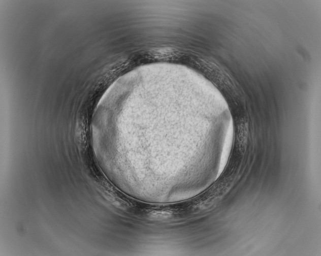 X0000112180653200908281403