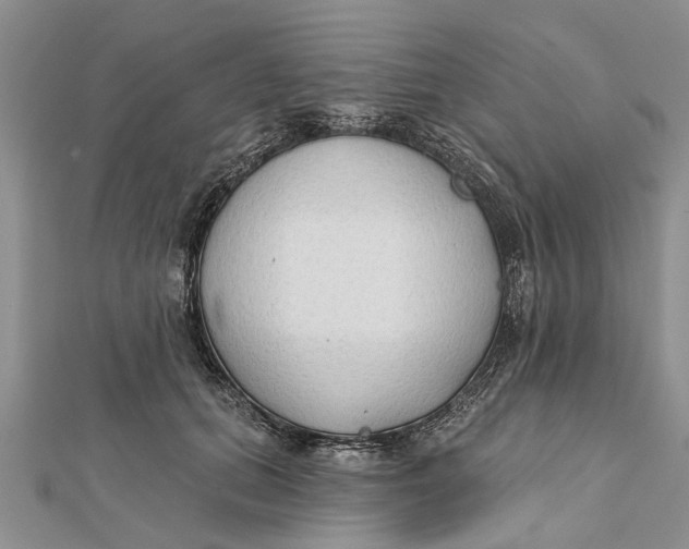 X0000112180655200908281403