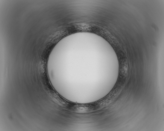 X0000112180658200908281403