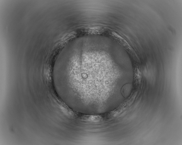 X0000112180663200908281403