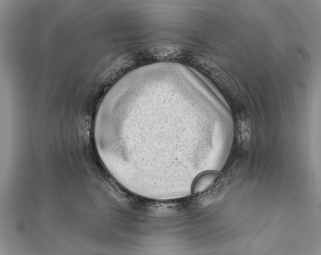 X0000112180664200908281403