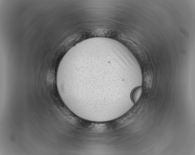 X0000112180665200908281403