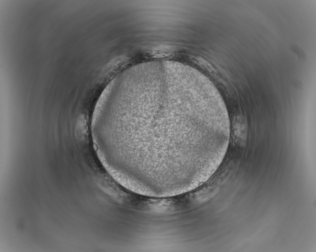 X0000112180667200908281403