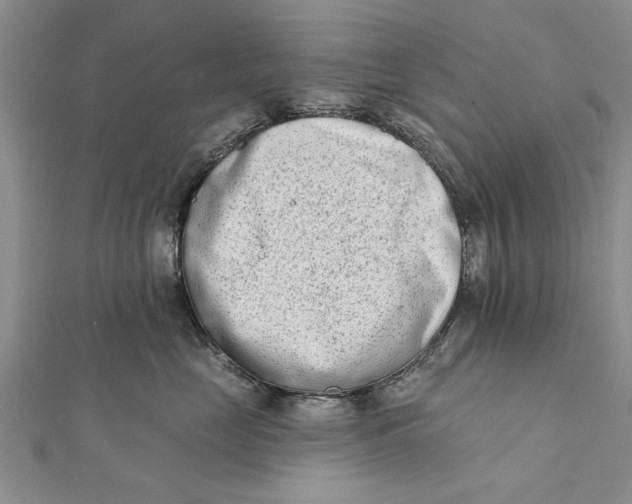 X0000112180669200908281403