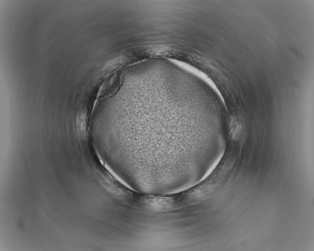 X0000112180670200908281403