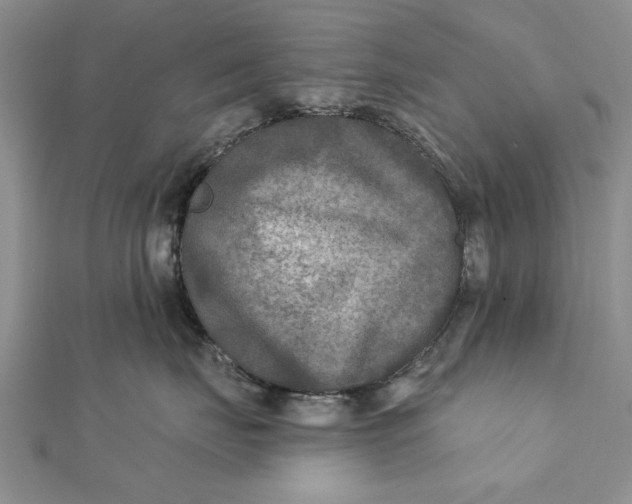 X0000112180671200908281403